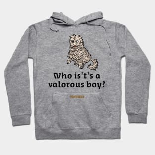 A Valorous Boy Hoodie